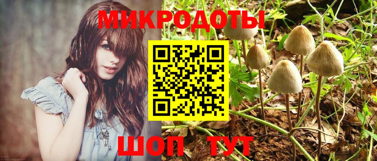 Псилоцибиновые грибы мицелий Дубна