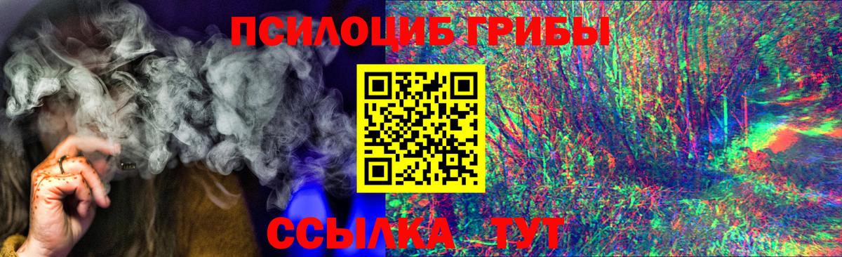 Дубна  Галлюциногенные грибы MAGIC MUSHROOMS  Вход с VPN 